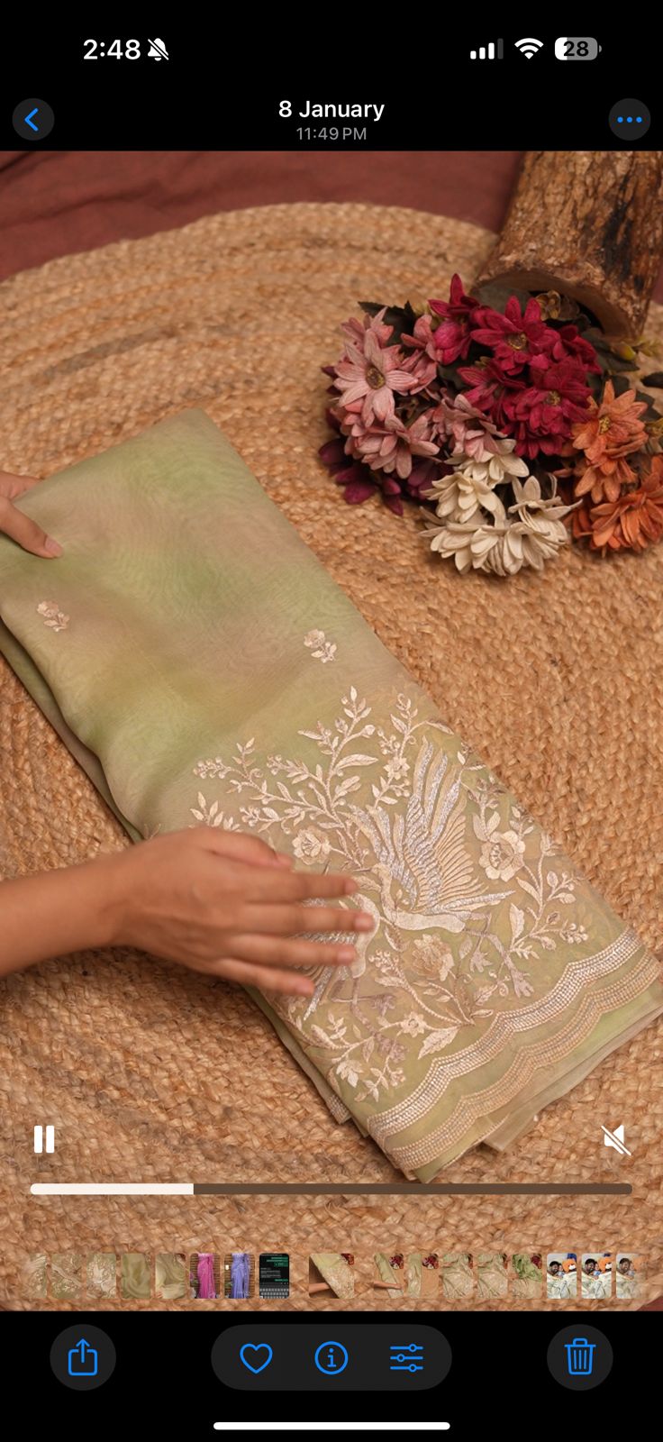 ombre dye bird premium