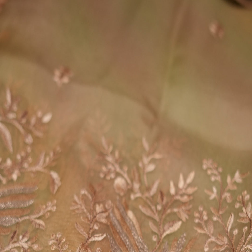 Pure silk Organza Ombre Saree with Embroidery border