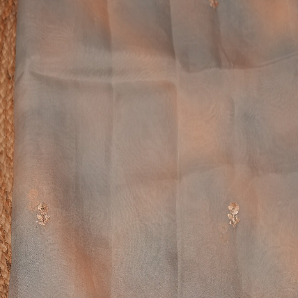 Pure silk Organza Ombre Saree with Embroidery border