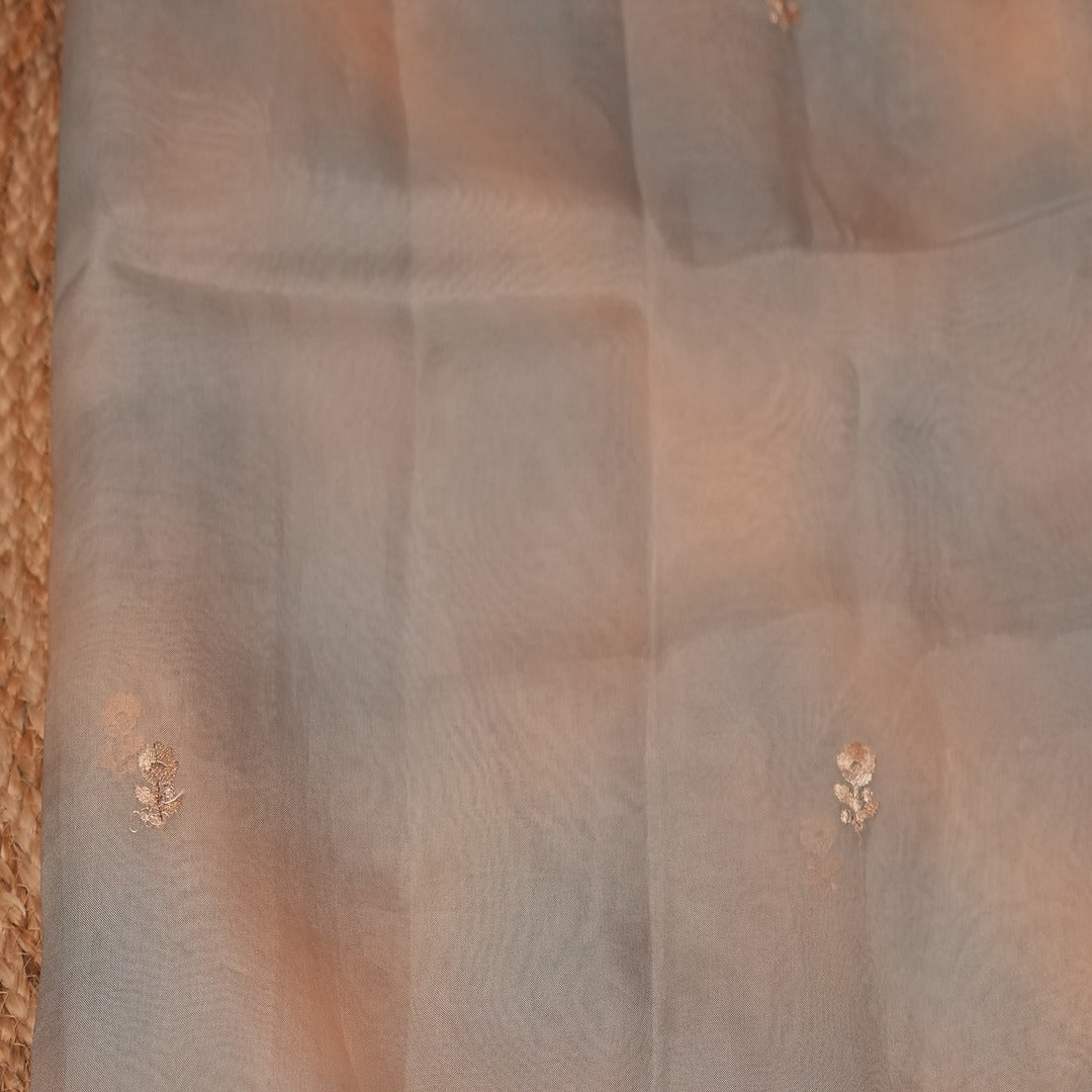 Pure silk Organza Ombre Saree with Embroidery border