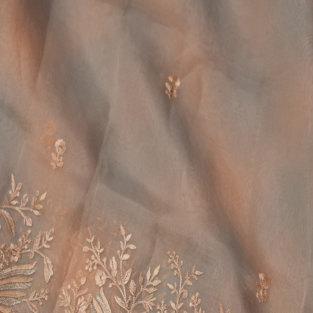 Pure silk Organza Ombre Saree with Embroidery border