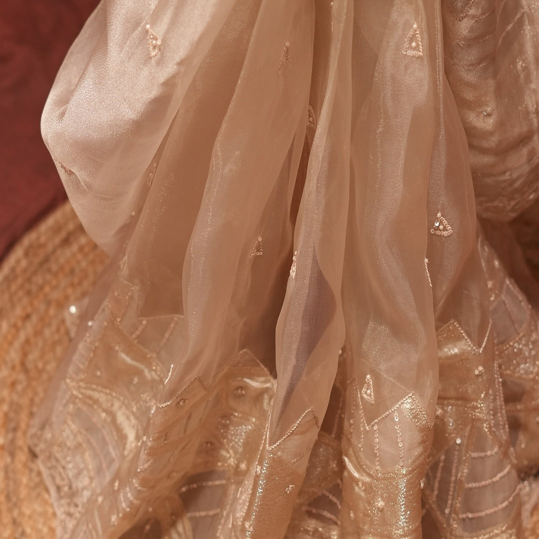 Off White Turkish Organza Saree