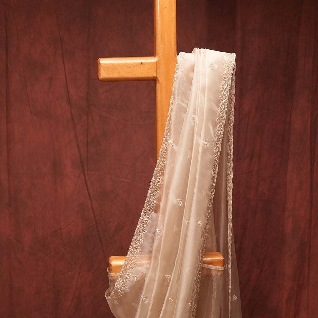 Off White Turkish Organza Saree