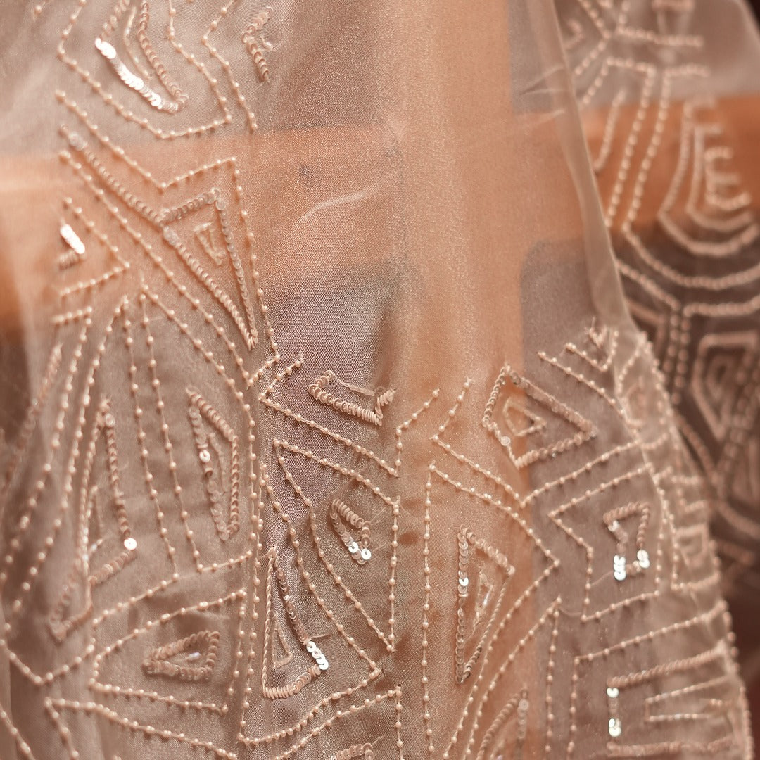 Off White Turkish Organza Saree