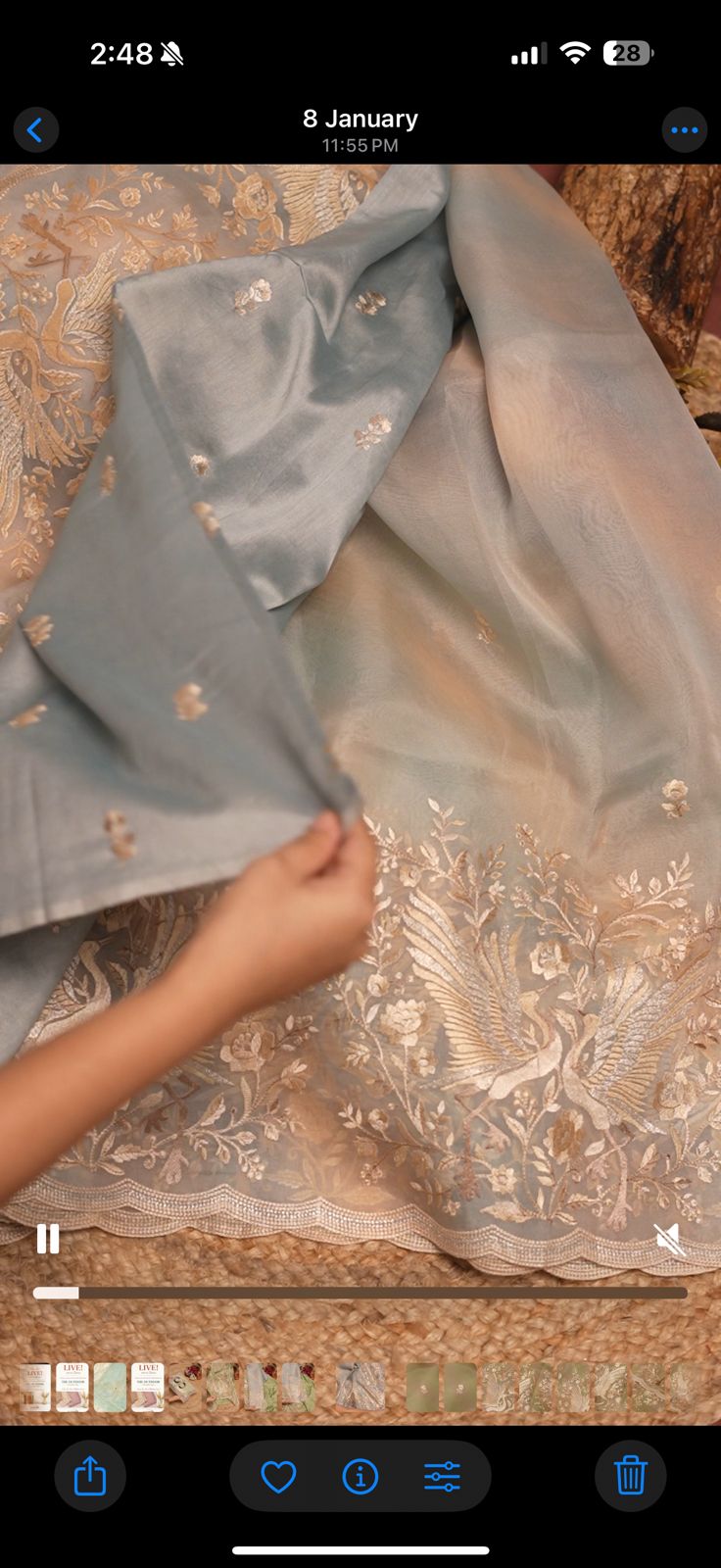 ombre dye bird premium